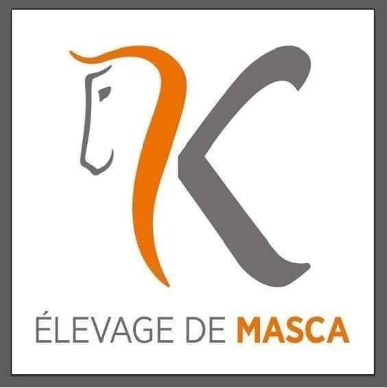 Elevage de masca logo