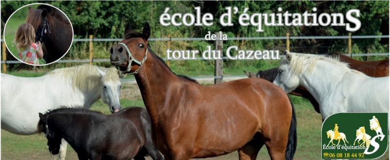 ECOLE D EQUITATION DE LA TOUR DU CAZEAU logo