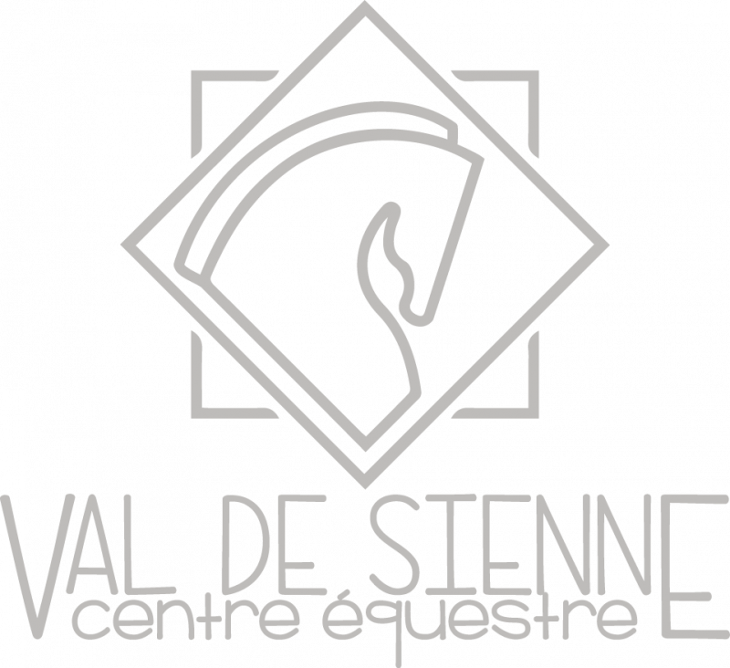 CENTRE EQUESTRE VAL DE SIENNE logo