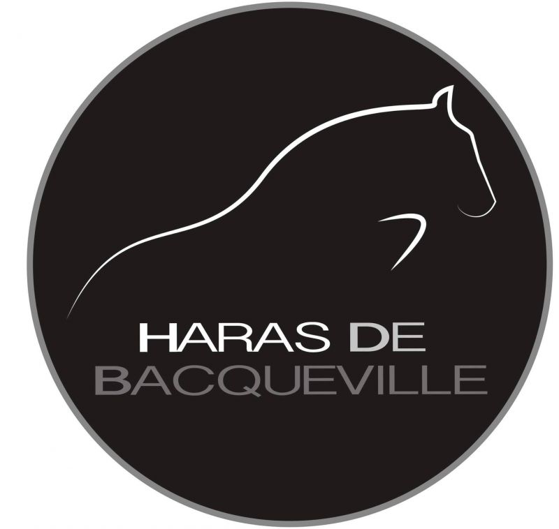 HARAS DE BACQUEVILLE logo