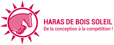 HARAS DE BOIS SOLEIL logo