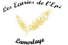 ECURIES DE L EPI logo