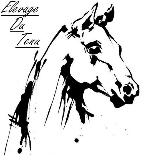 ELEVAGE DU TENU  logo