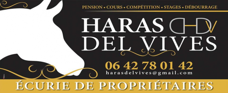 HARAS DEL VIVES logo