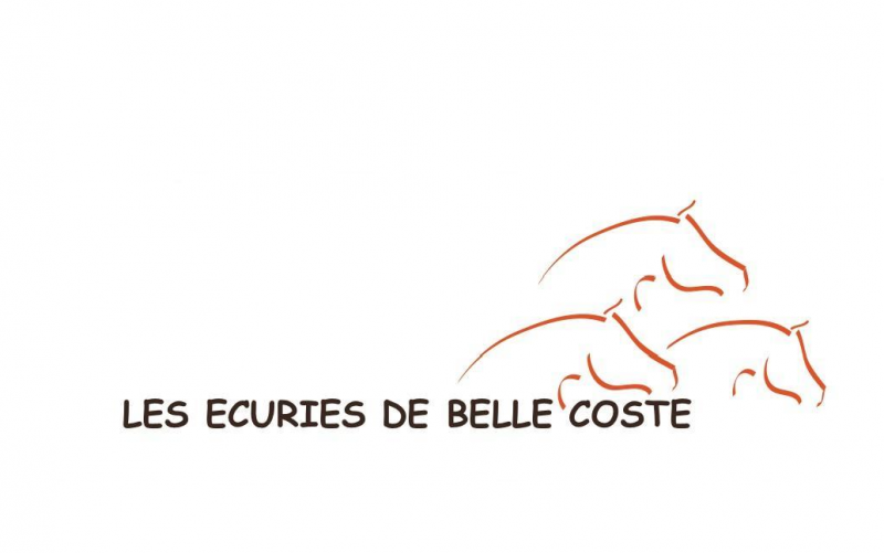 ECURIES DE BELLE COSTE logo