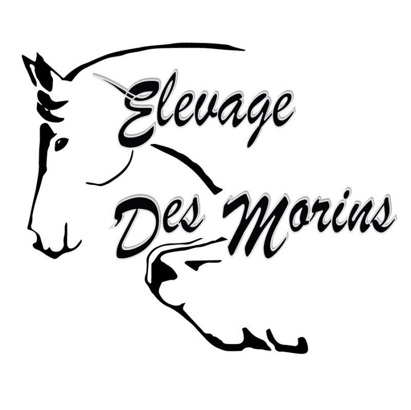 ELEVAGE DES MORINS logo