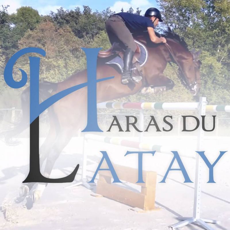 HARAS DU LATAY logo