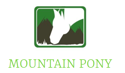 MOUNTAIN PONY logo