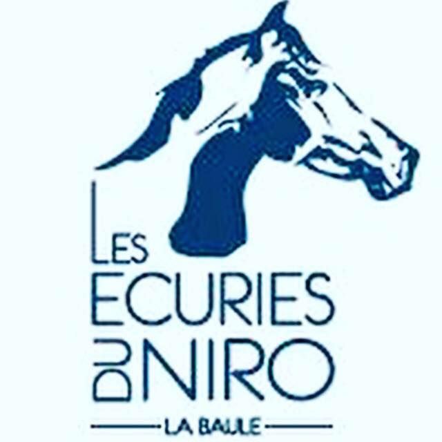 LES ECURIES DU NIRO logo