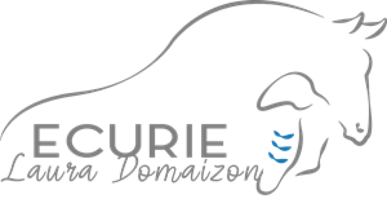 ECURIE LAURA DOMAIZON logo