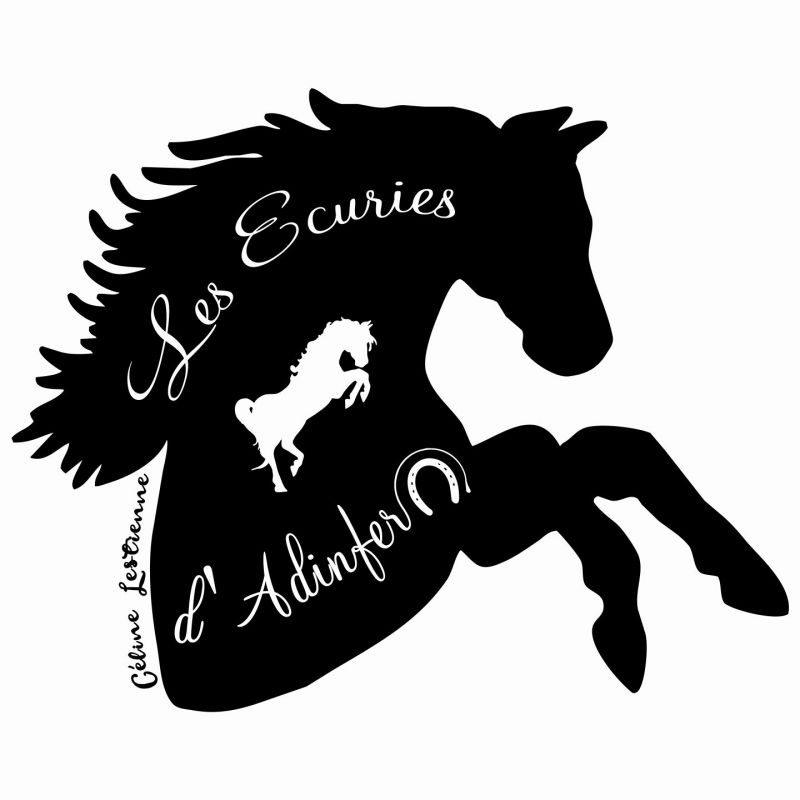 LES ECURIES D ADINFER logo
