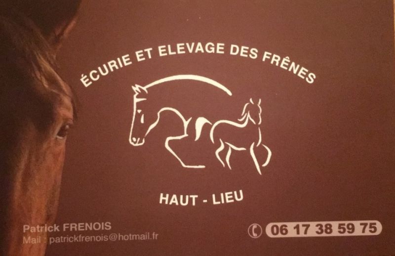 ECURIE ET ELEVAGE DES FRENES logo