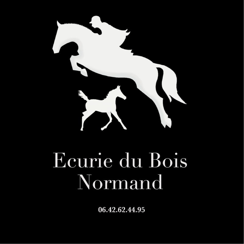 Ecurie du Bois Normand logo