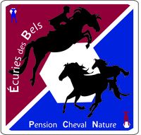 ECURIES DES BELS PENSIONS CHEVAL NATURE logo