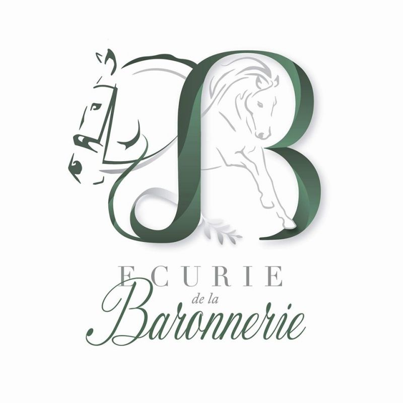 LES ECURIES DE LA BARONNERIE logo