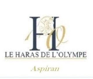 HARAS DE L' OLYMPE logo