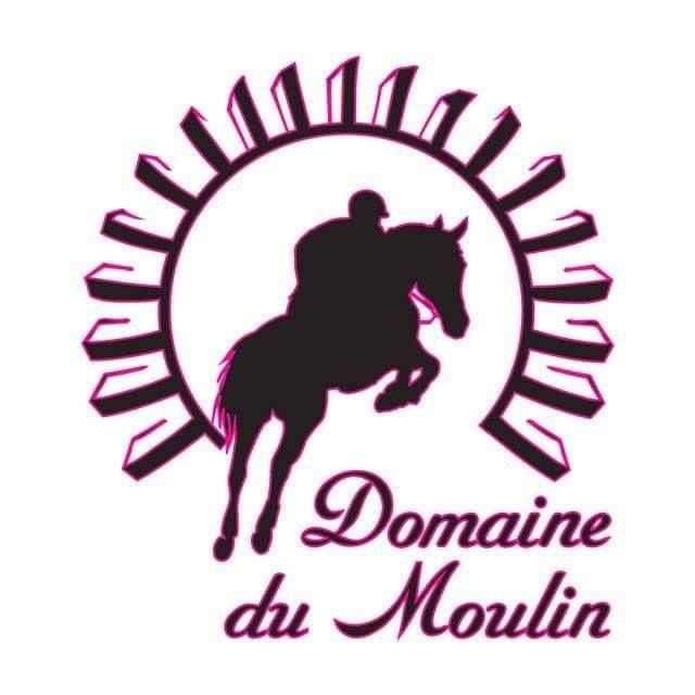 DOMAINE DU MOULIN logo