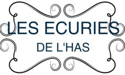 ECURIES D HAS logo