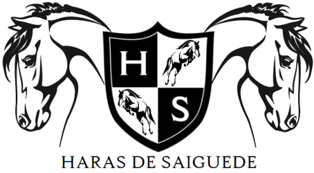 HARAS DE SAIGUEDE logo