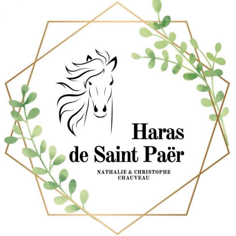 ECURIES DE SAINT PAER logo