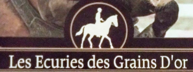 LES ECURIES DES GRAINS D OR logo