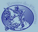 ECURIES DES FLEURONS logo