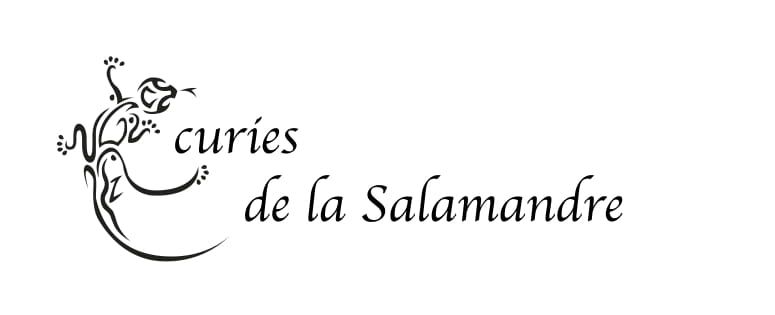 ECURIE DE LA SALAMANDRE logo