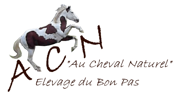 Au Cheval Naturel - Elevage du Bon Pas logo