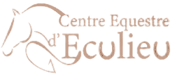 CENTRE EQUESTRE  D' ECULIEU logo