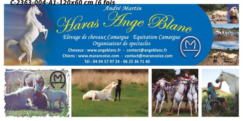 HARAS ANGE BLANC logo