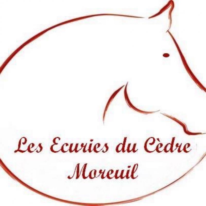 ECURIE DU CEDRE logo