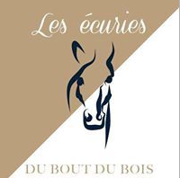 LES ECURIES DU BOUT DU BOIS logo