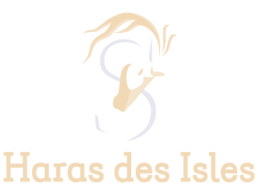 Logo de la structure HARAS DES ISLES