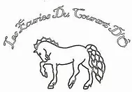 ECURIES DU COURANT D' O logo