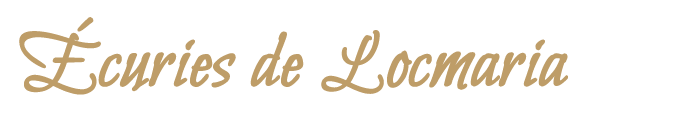 ECURIES DE LOCMARIA logo