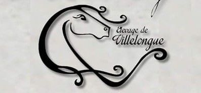 ELEVAGE DE VILLELONGUE logo