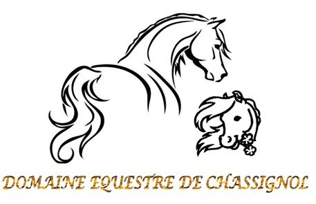 DOMAINE EQUESTRE DE CHASSIGNOL logo