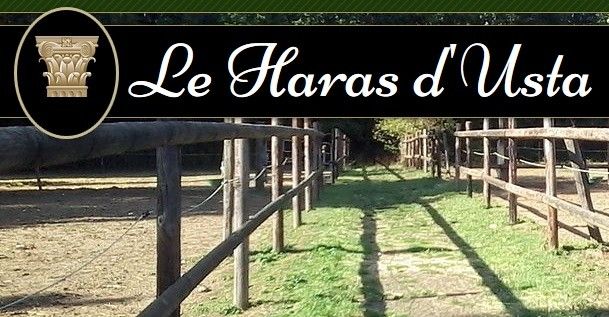 earl le haras d'usta logo