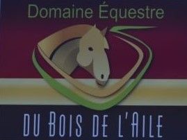 DOMAINE EQUESTRE DU BOIS DE L' AILE logo