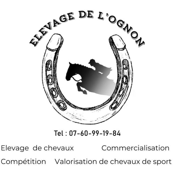 élevage  de l'ognon logo