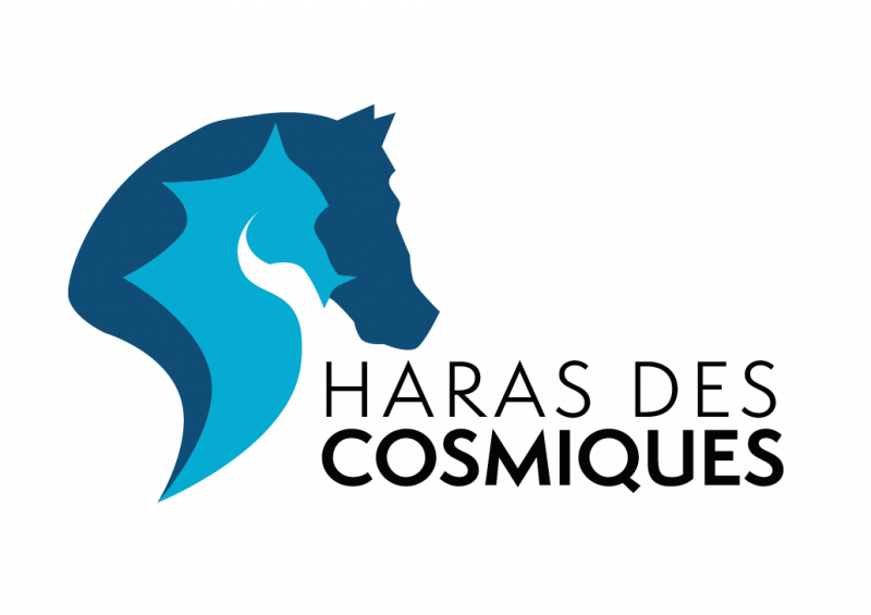 HARAS DES COSMIQUES logo