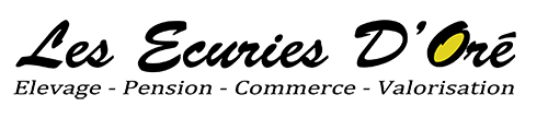 Logo de la structure LES ECURIES D' ORE