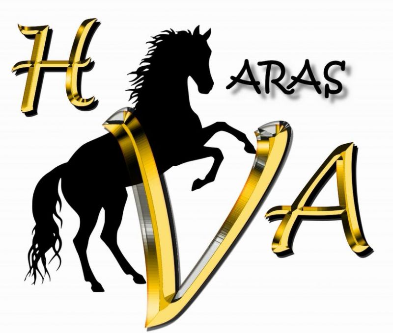 Haras du Val d'Athéna logo