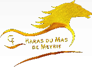 LE HARAS  DU MAS DE MEYRIE logo