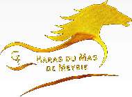 Logo de la structure LE HARAS  DU MAS DE MEYRIE