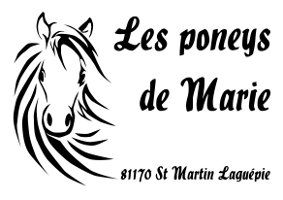 LES PONEYS DE MARIE logo