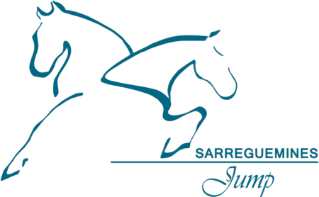 SARREGUEMINES JUMP logo