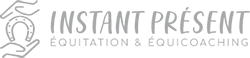 INSTANT PRESENT logo