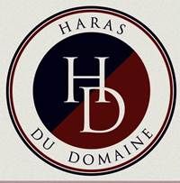 HARAS DU DOMAINE logo