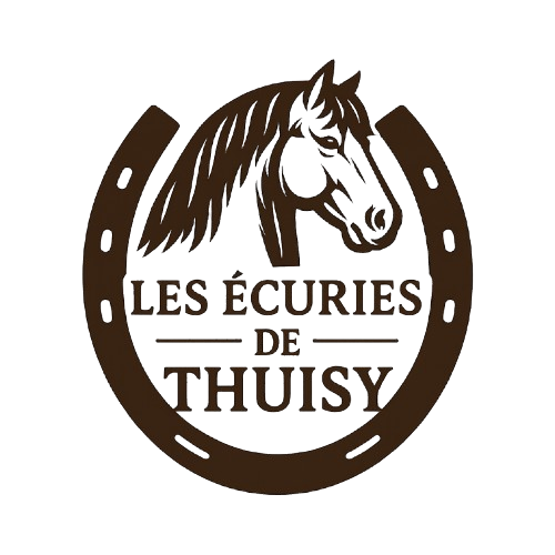 LES ECURIES DE THUISY logo